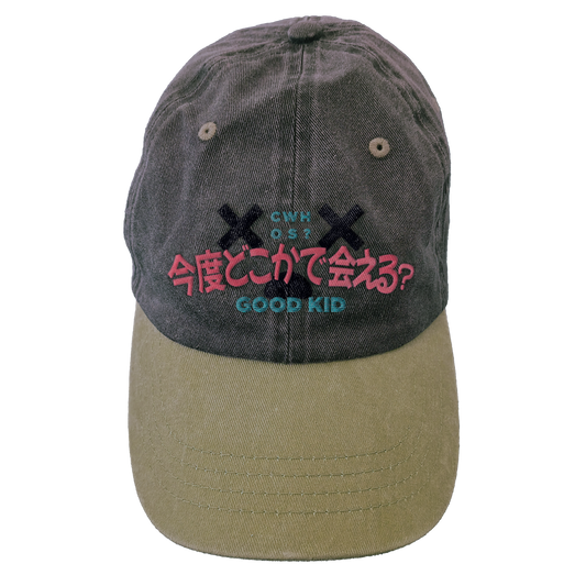 Dead Drone Two-Tone Hat